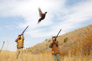 Man and Woman Shooting at a Pheasant on a Corporate Hunting Trip at Lazy Triple Creek Ranch