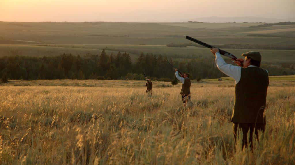 Three Executives Driven Shooting in Field on Corporate Pheasant Hunting Retreat at Lazy Triple Creek Ranch